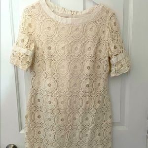 Ivory lace knee length dress